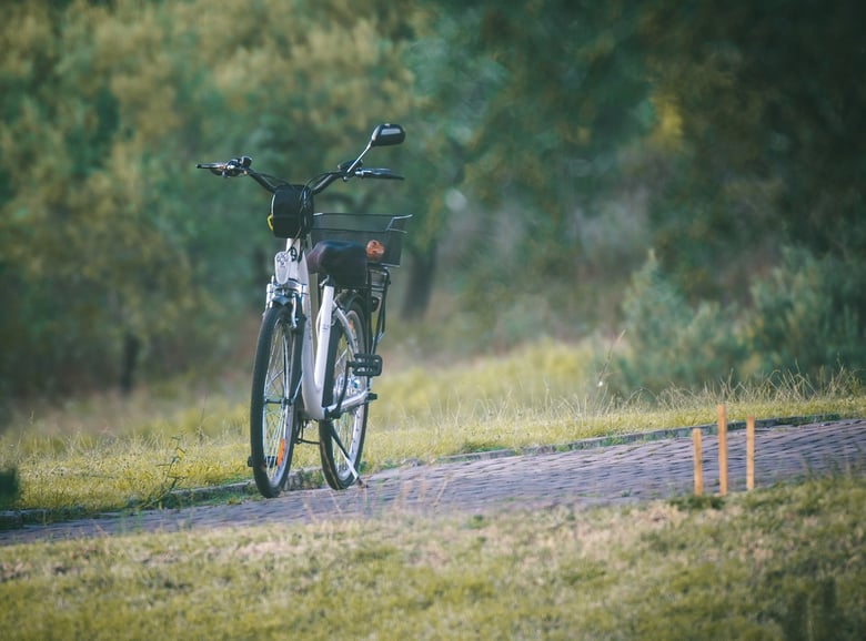 Electric bike