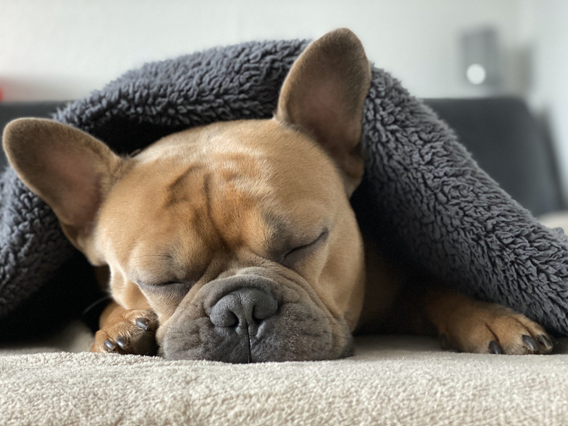 Sleep an ally for your health