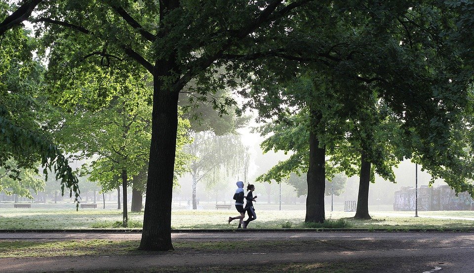 Sport and motivation